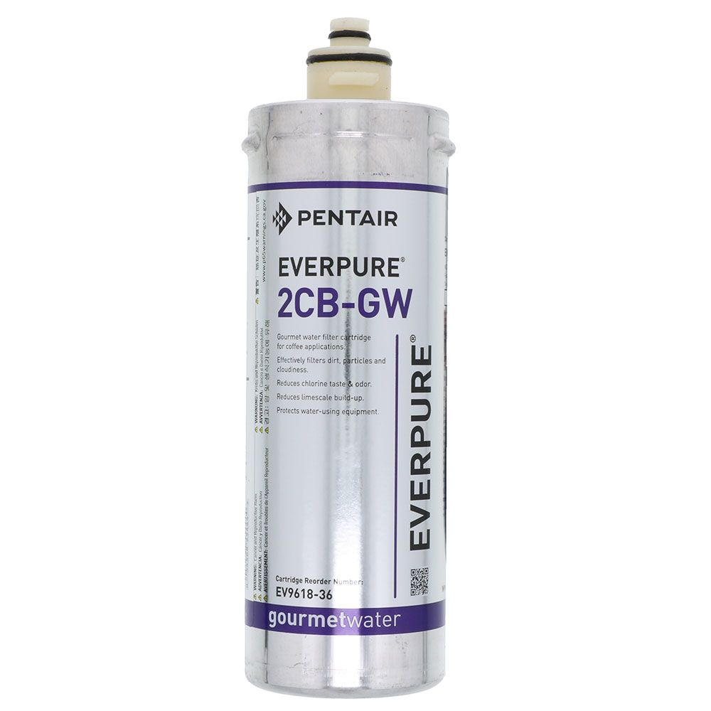 Everpure 2CB-GW EV9618-36 Filter Cartridge
