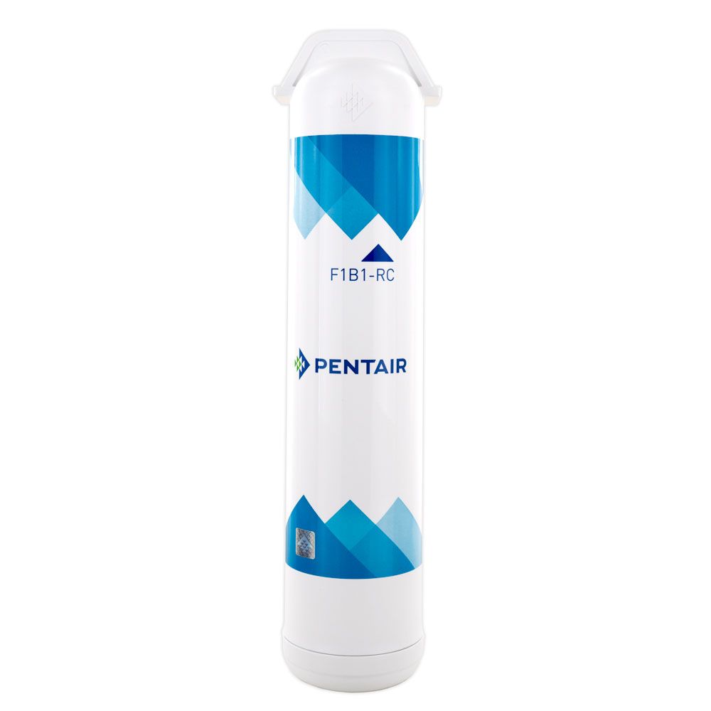 Pentair Freshpoint F1B1-RC Replacement Cartridge Filter Cyst and Lead