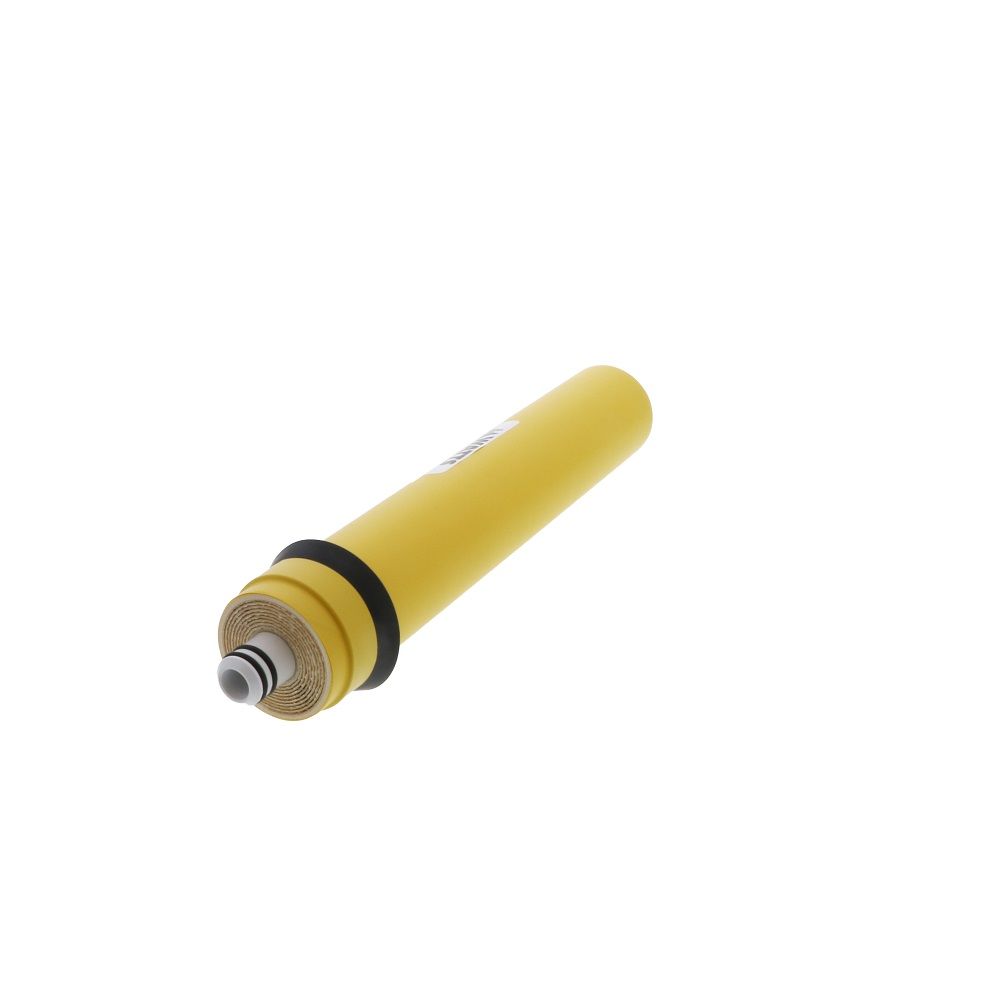 Watts Premier 560018 50 GPD Reverse Osmosis Membrane