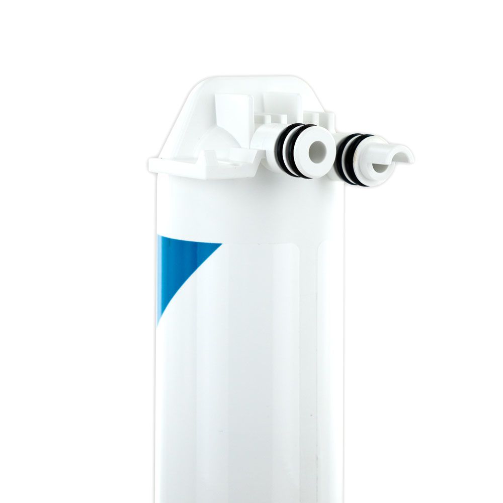 Pentair Freshpoint F1B1-RC Replacement Cartridge Filter Cyst and Lead