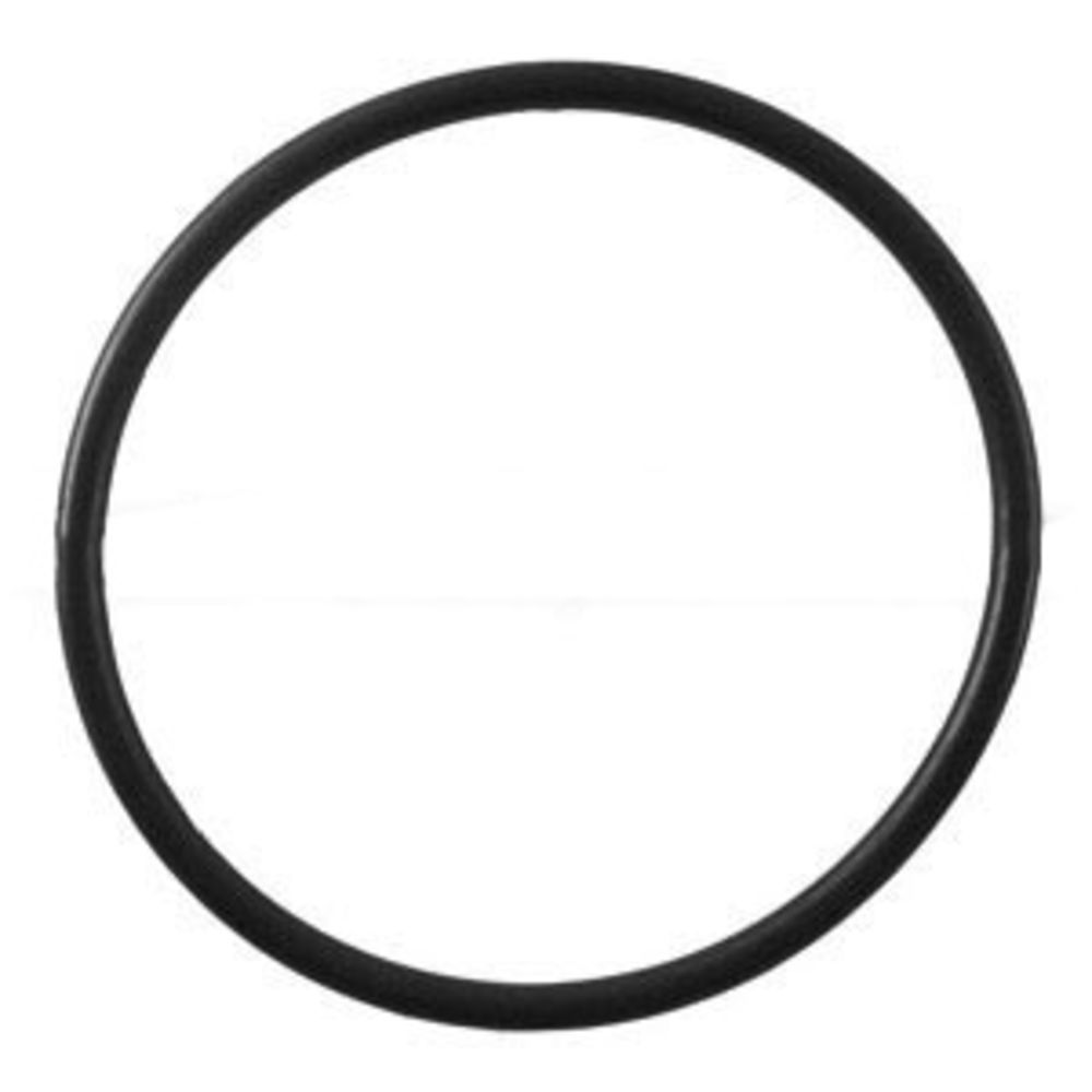 Pentek 151120 Buna-N O-Ring for 3/4" FPT Standard Housings