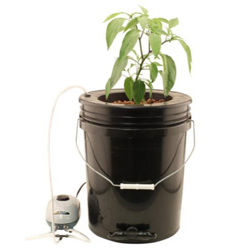 Flo-n-Gro Gro Momma Bubbler Bucket System