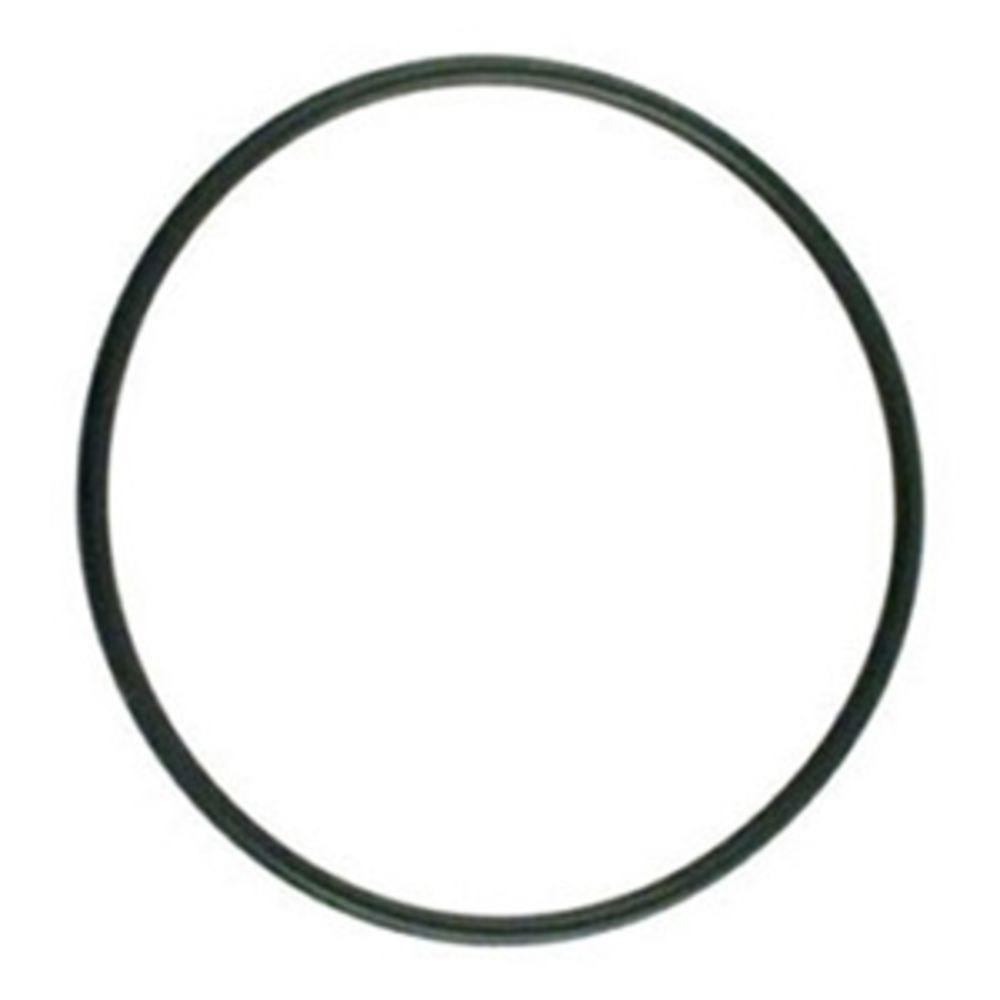 O-Ring for 10" & 20" Watts Full Flow Housings