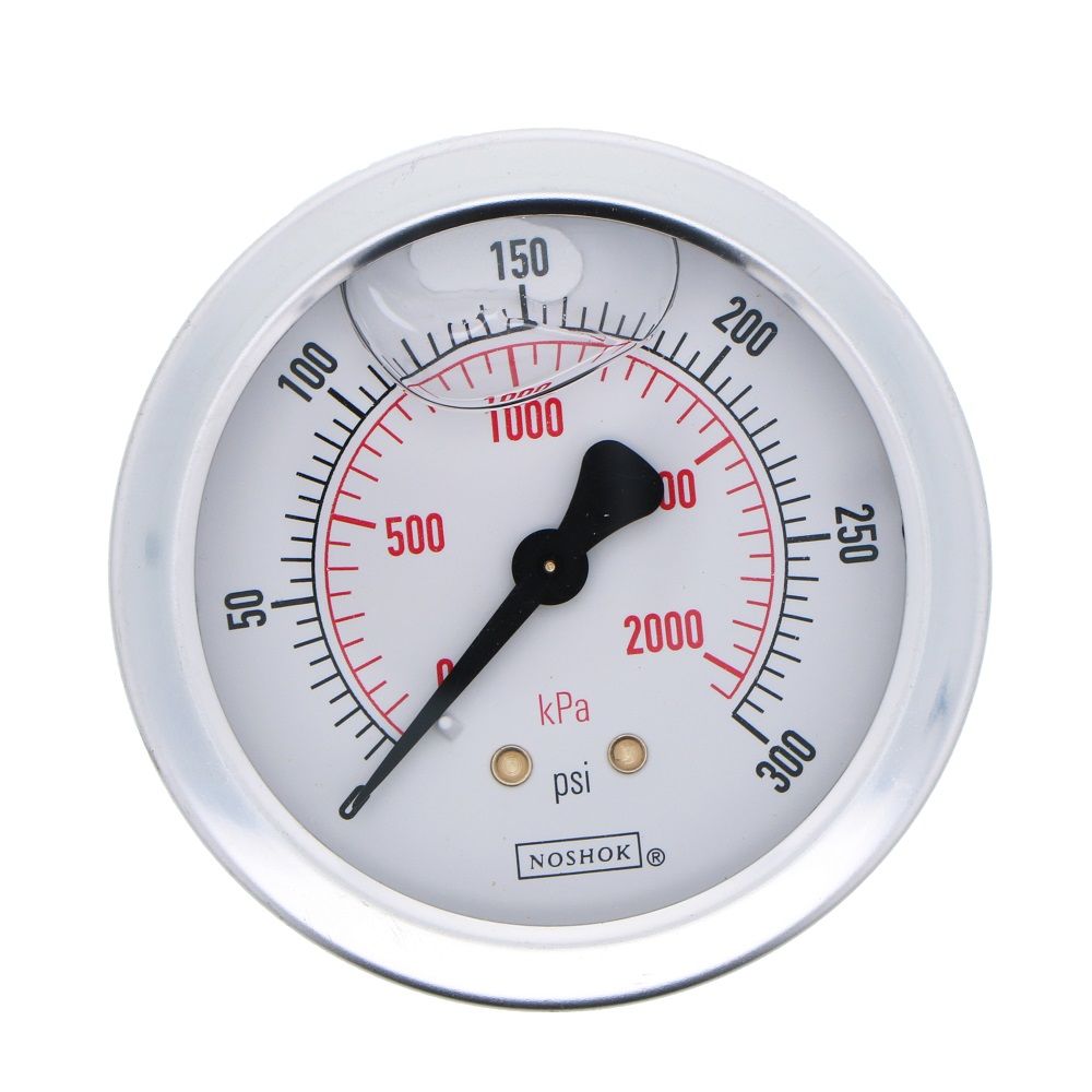 NOSHOK Center Mount 2.5" Water Pressure Gauge 0-300 PSI, SS, 1/4" NPT