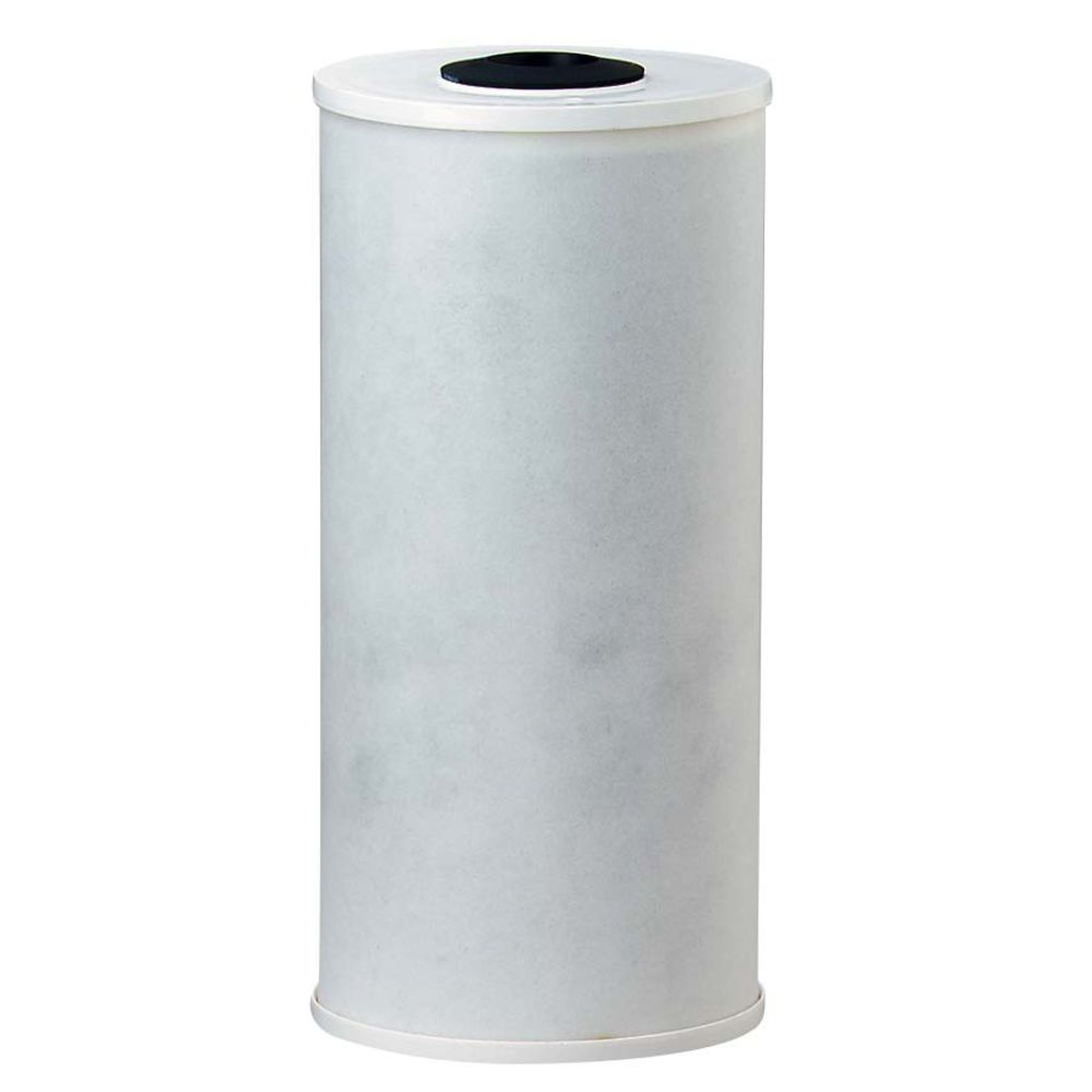Pentek 155141 RFC-BB Radial Flow Carbon Filter 25 mic