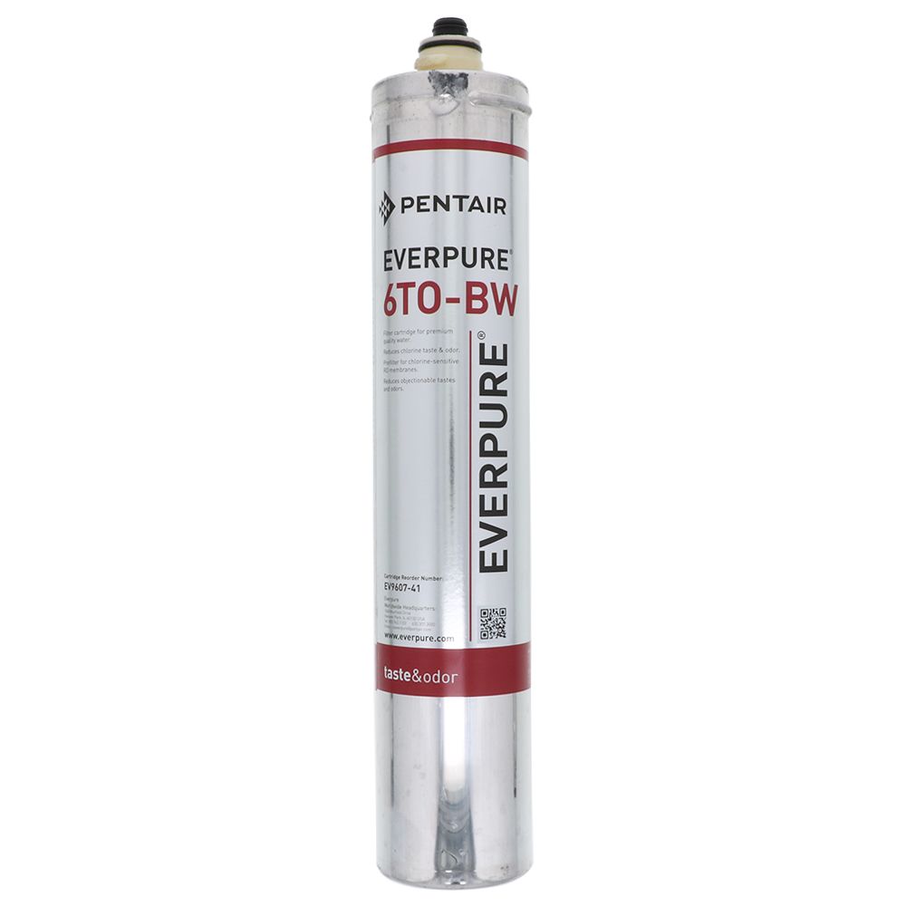 Everpure 6TO-BW