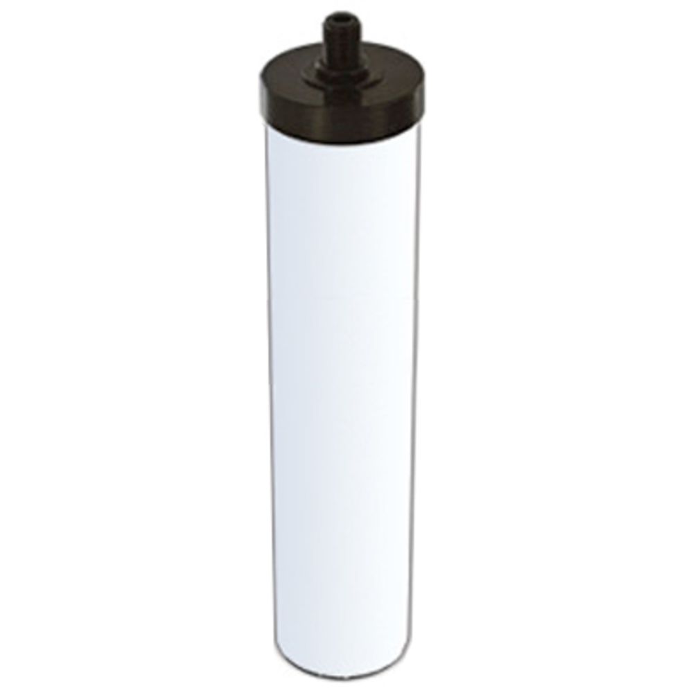Doulton FL-C10 Fluoride Reduction A-2 Filter