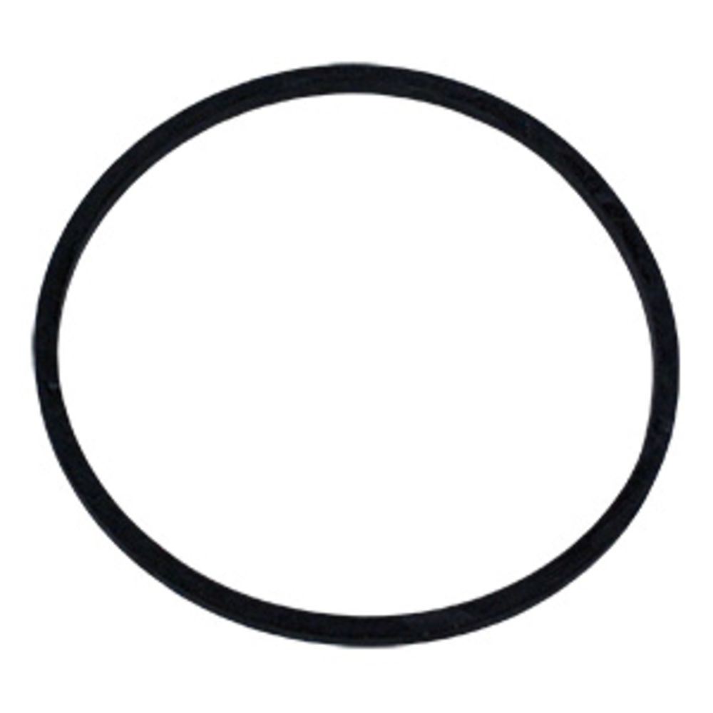 O-Ring for Purwater FHT-34 & FHO-34 ORG006