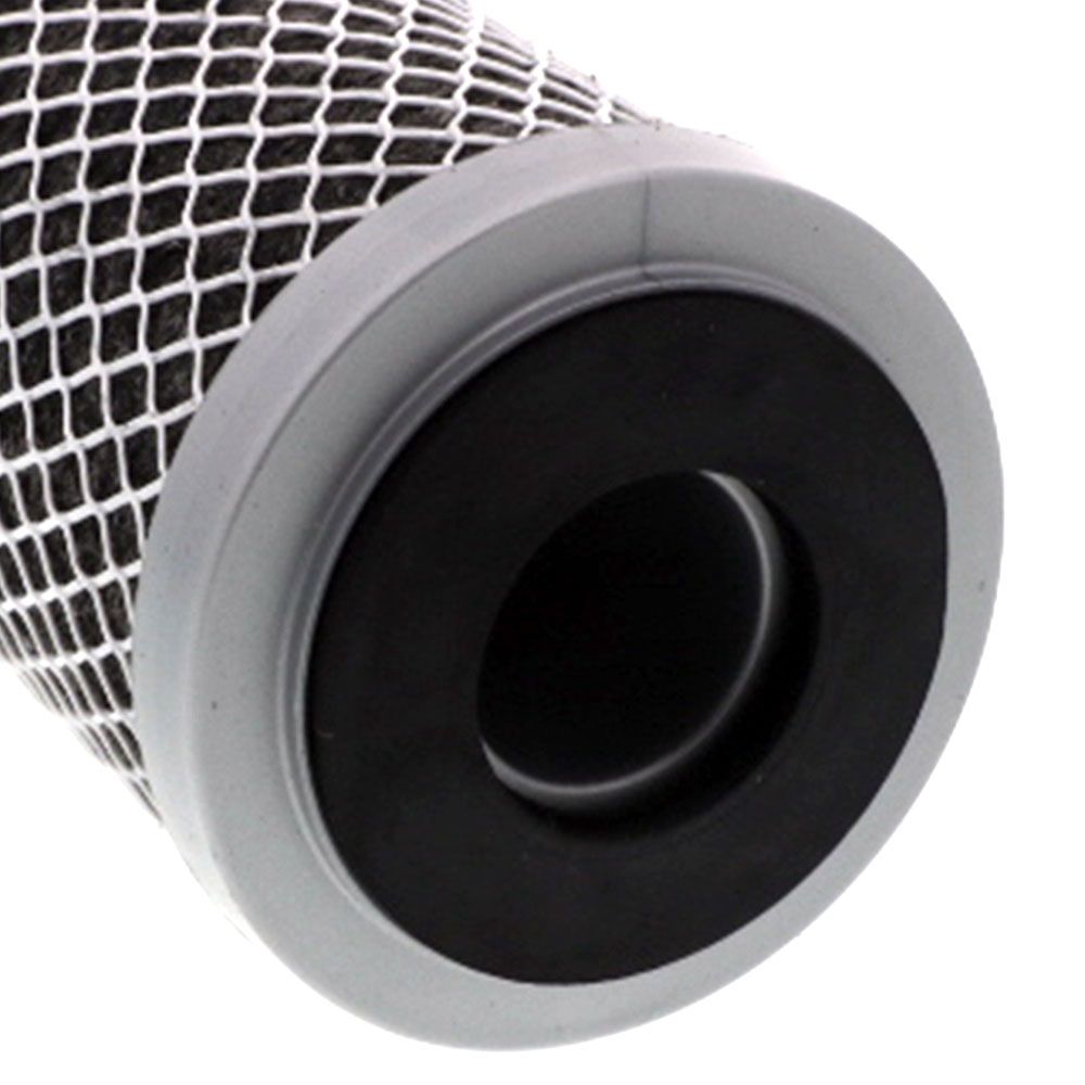 Pentek 455903-43 FloPlus-10 CTO/Cyst 0.5 mic Filter