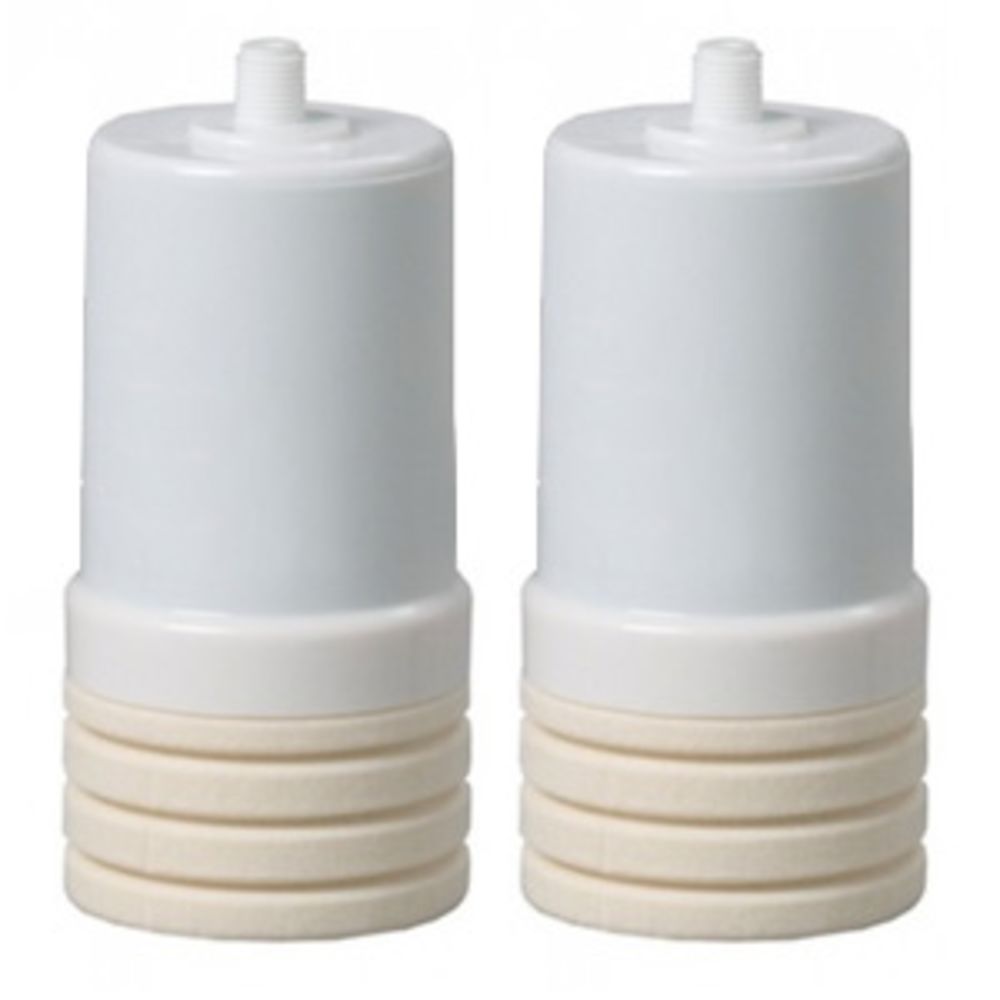 AP205 Replacement Cartridge - 2 Pak