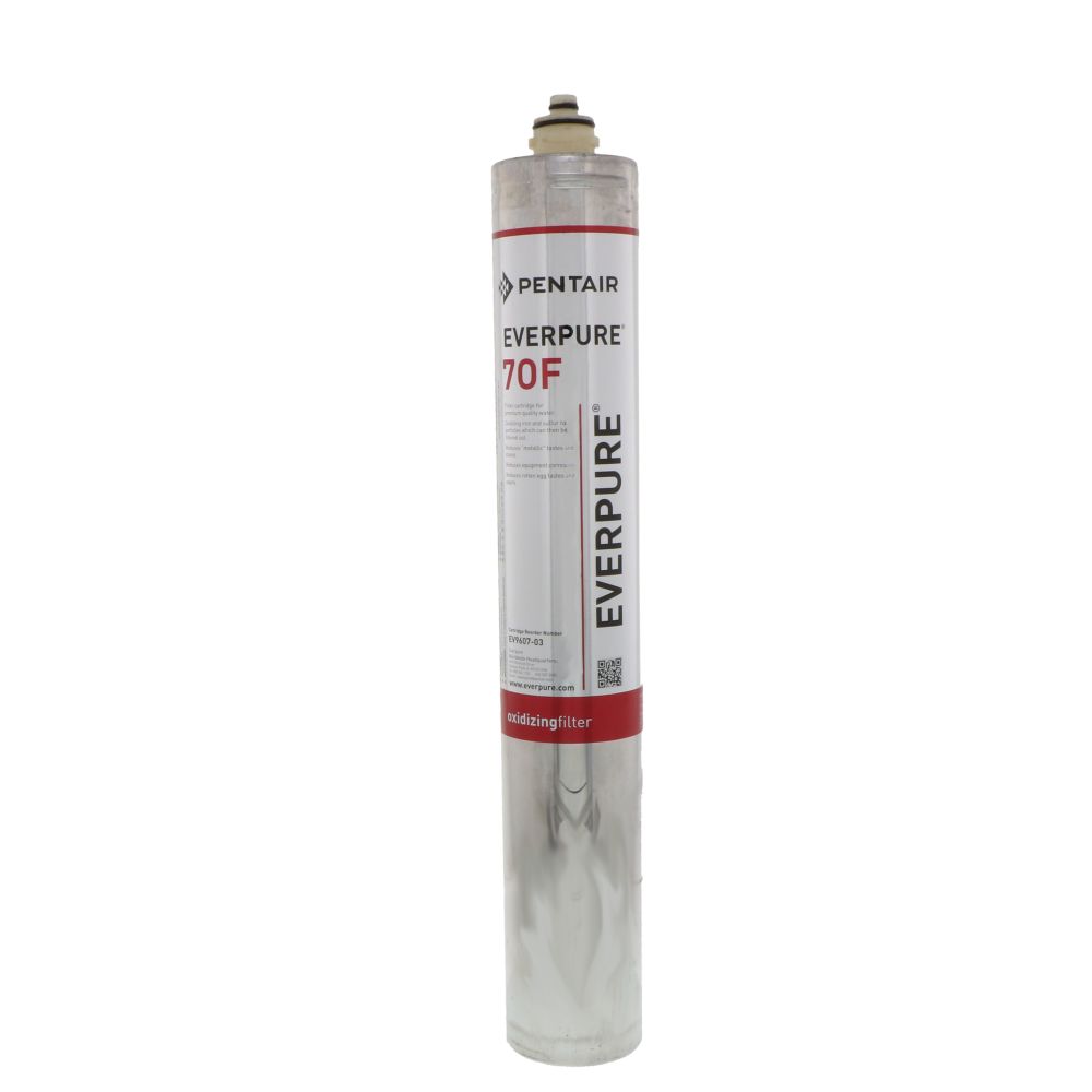 Everpure 70F EV9607-03 Iron Reduction Water Filter Cartridge
