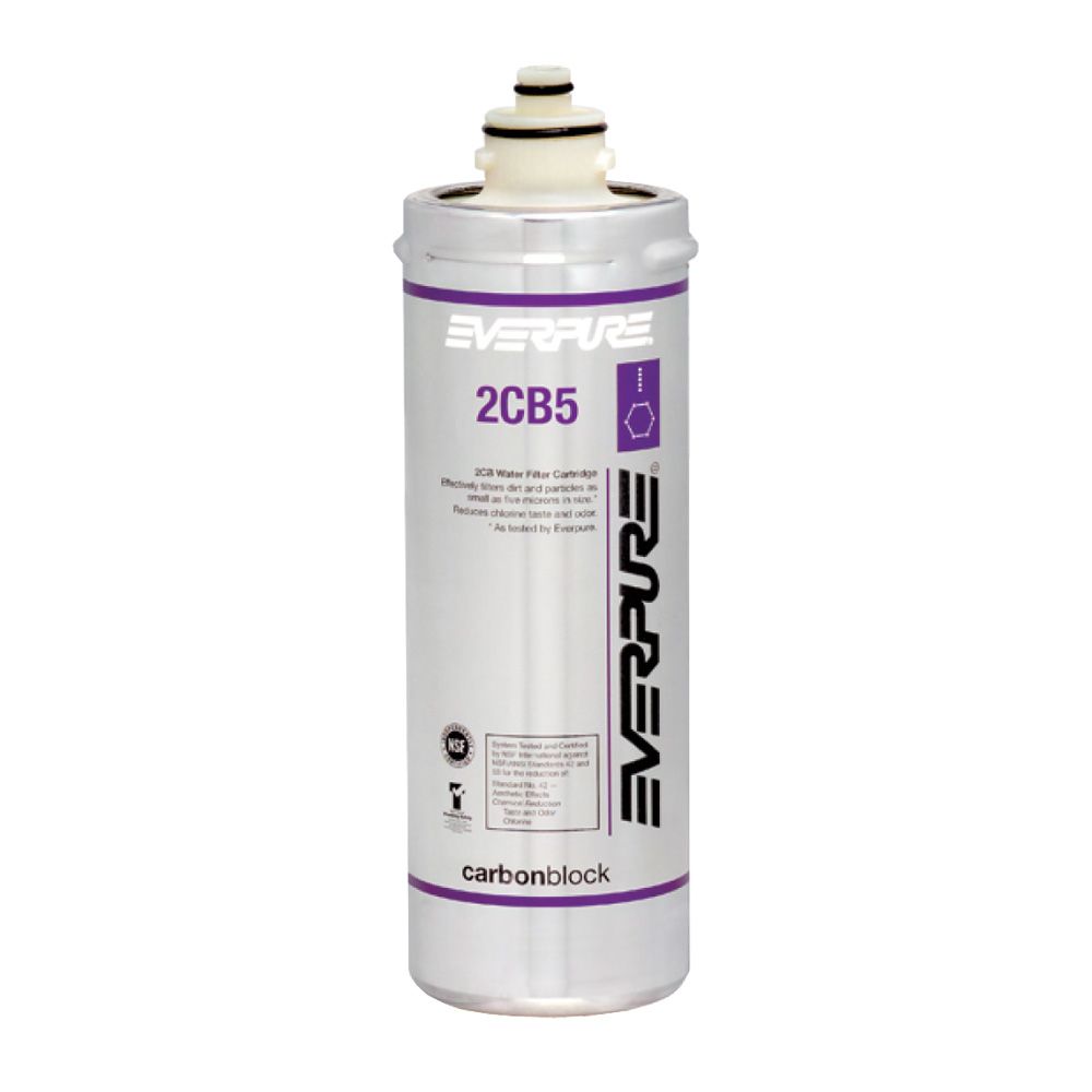 Everpure 2CB5 EV9617-05 Filter Cartridge