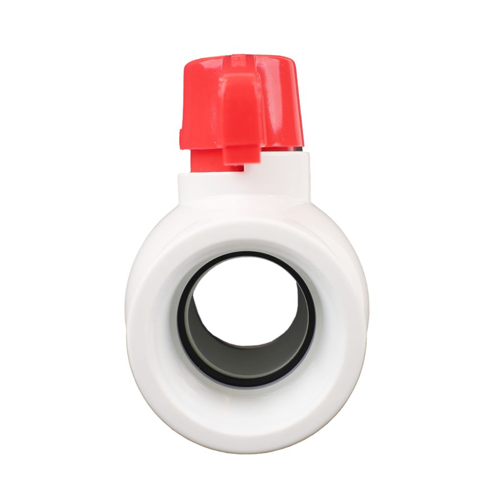 Schedule 40 PVC Molded-In-Place Ball Valve 1-1/4" FPT