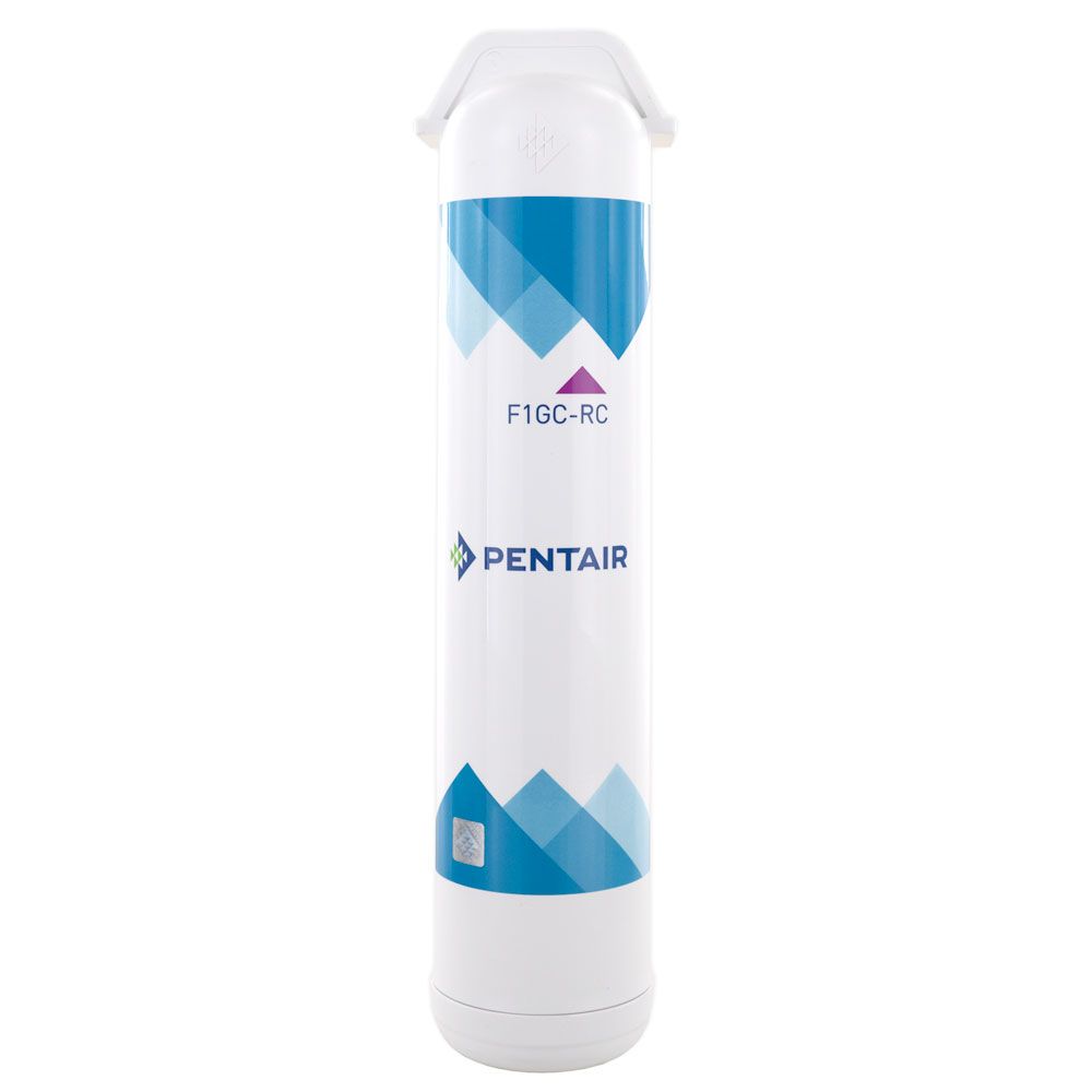 Pentair Freshpoint F1GC-RC GAC Post Filter Cartridge Filter