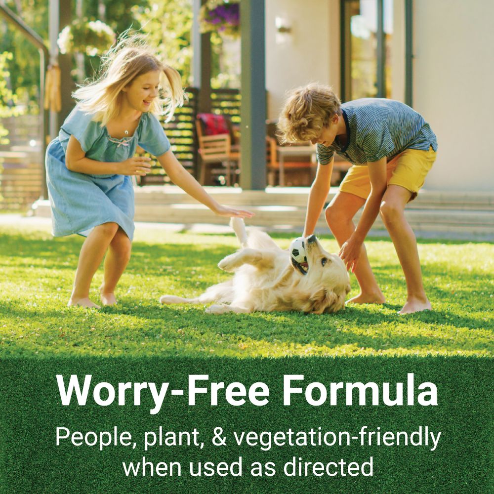 GrassSoGreen 19-0-0 Maintenance Formula Fertilizer 1 Gallon