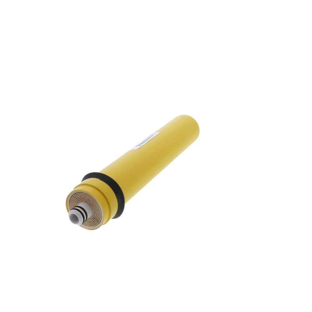 Watts Premier 560016 35 GPD Reverse Osmosis Membrane