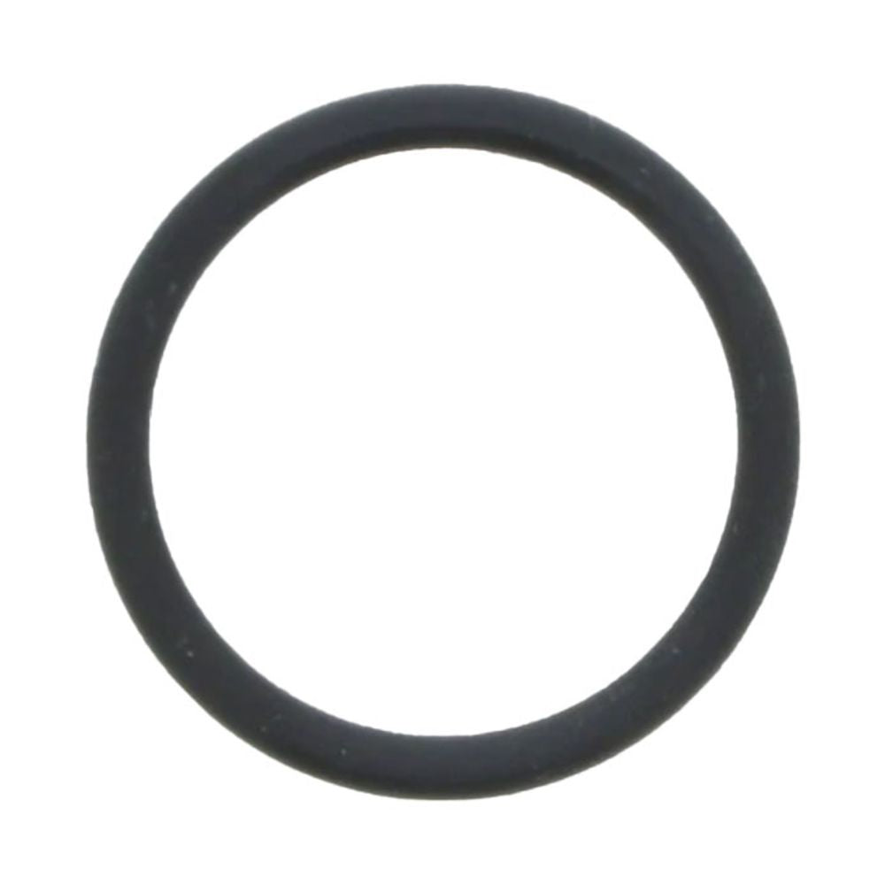 O-Ring for 4" Stainless Steel Housing End Cap