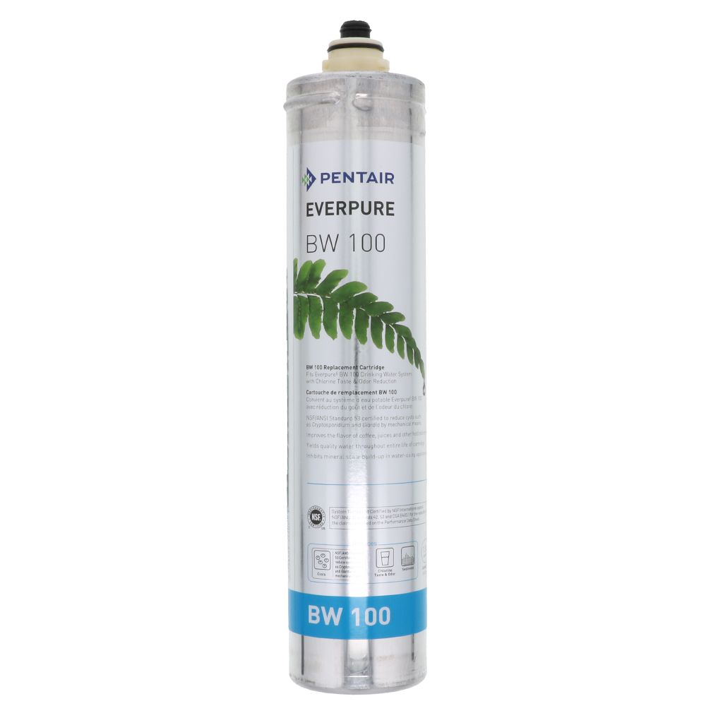Everpure BW 100 EV9668-16 Filter Cartridge
