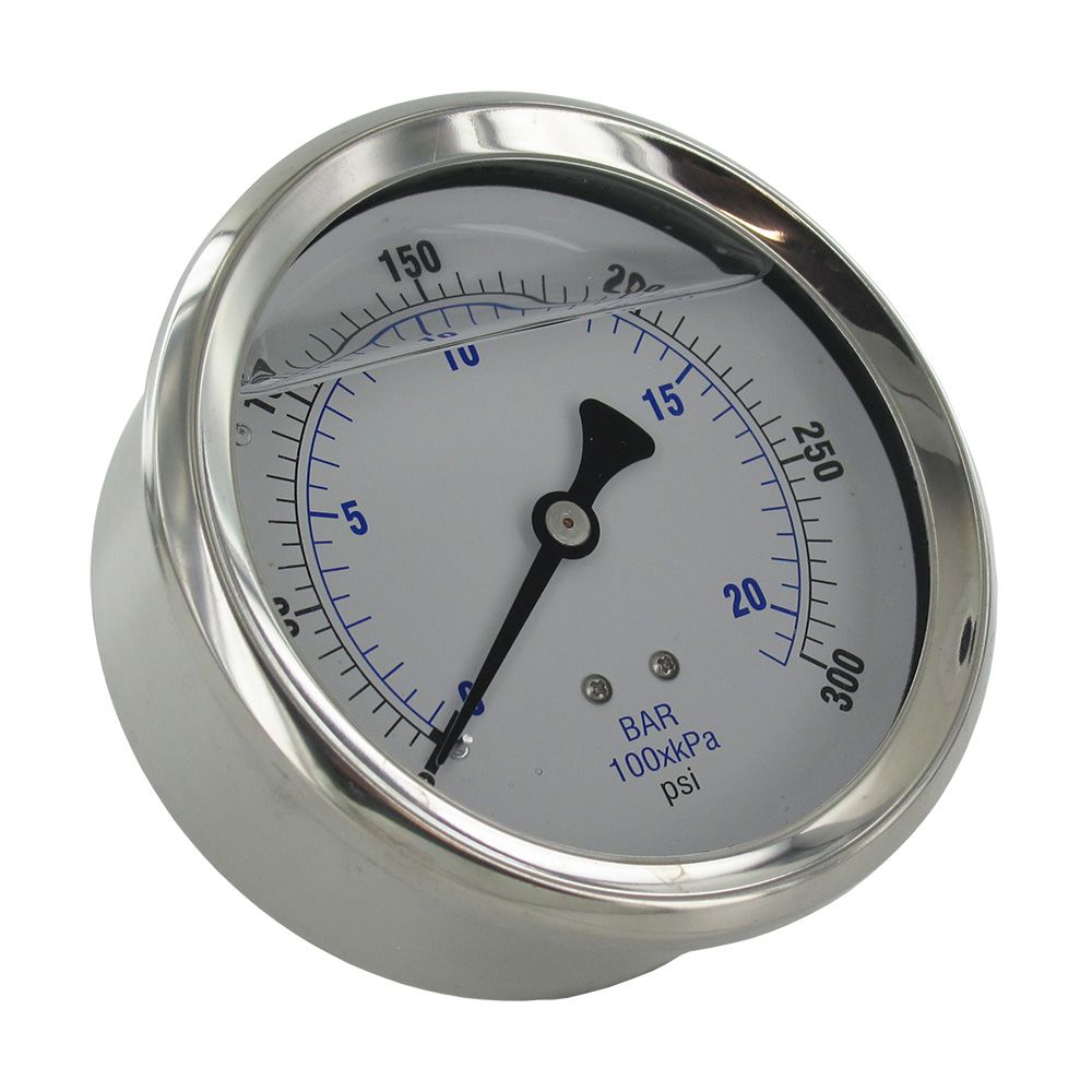 Water Pressure Gauge 300 PSI, 1/4" MPT, 4.0" Plastic Dial, Center Mount, SS Case