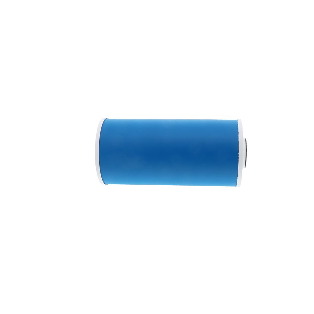 Pentek 155153-43 GAC-BB Granular Activated Carbon 20 mic Filter