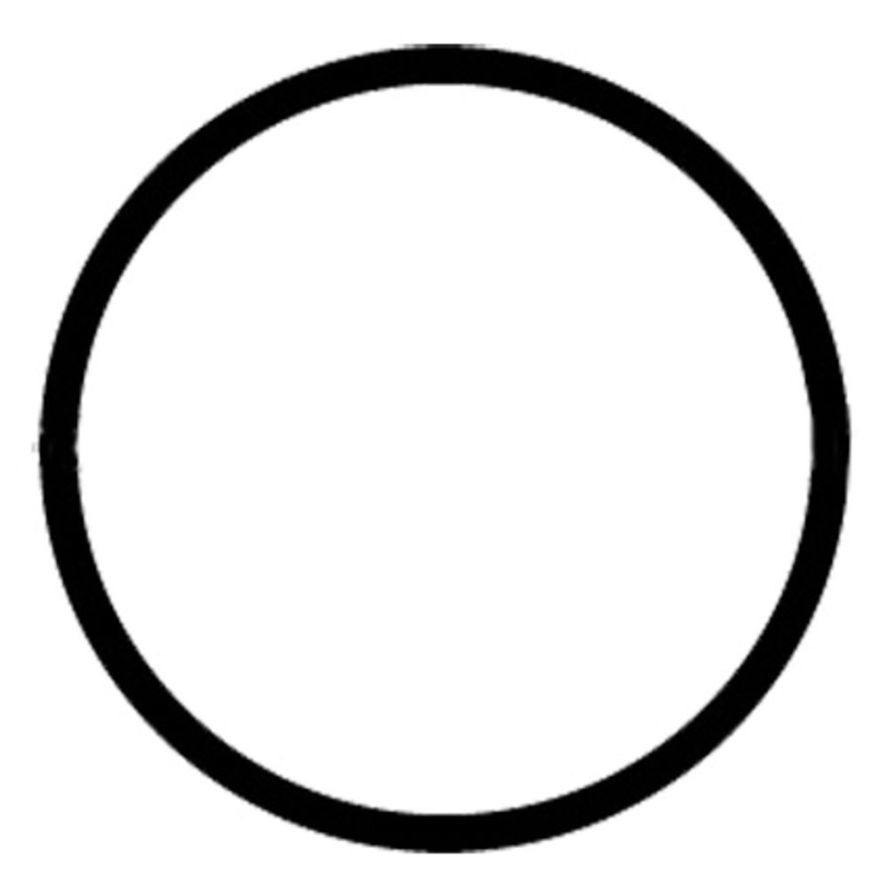 Everpure EV307119 Water Filter O-ring for K, IMF, AR-X Housings