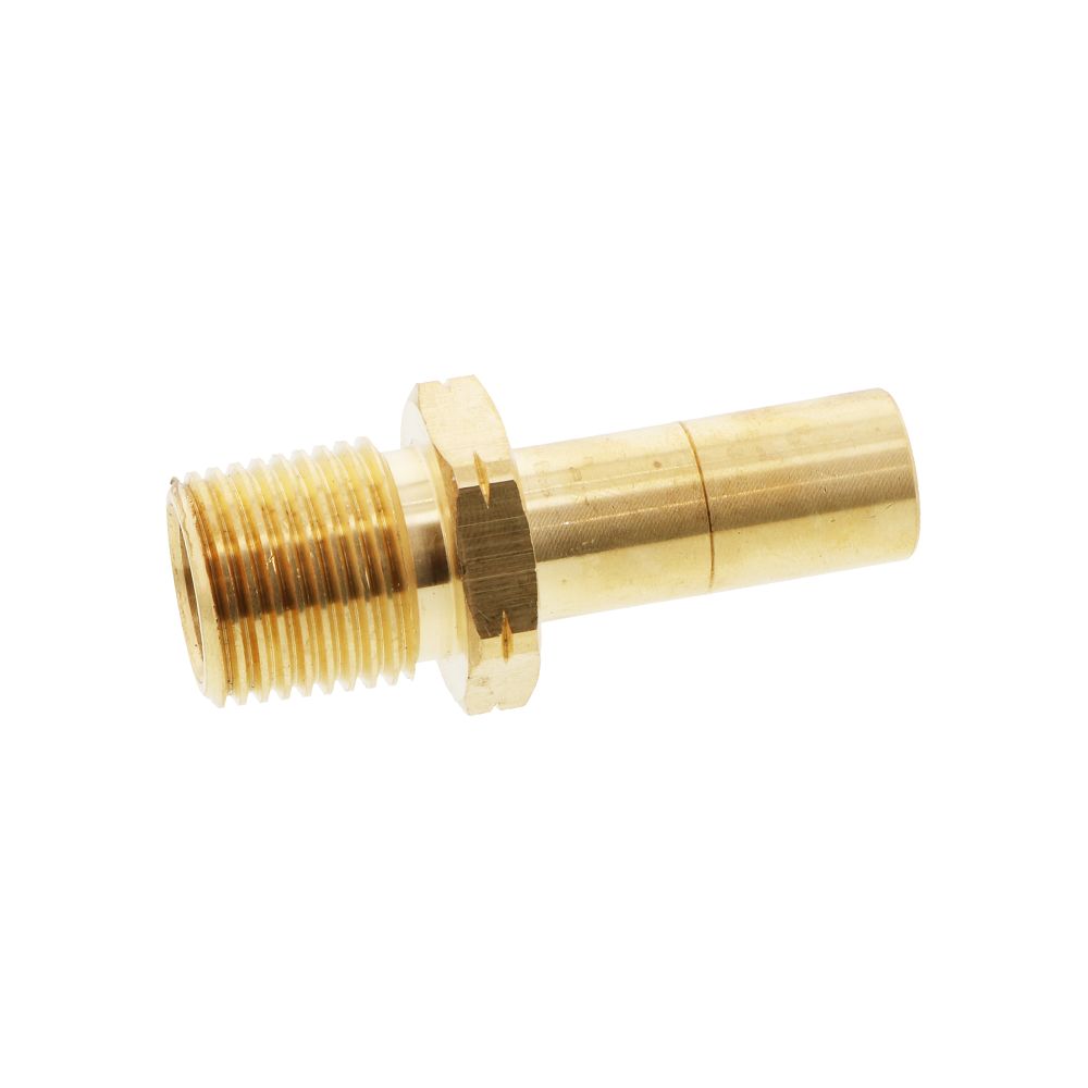 Watts AquaLock/SeaTech - Brass Male Stem Check Valve - 15mm x 1/2 NPT