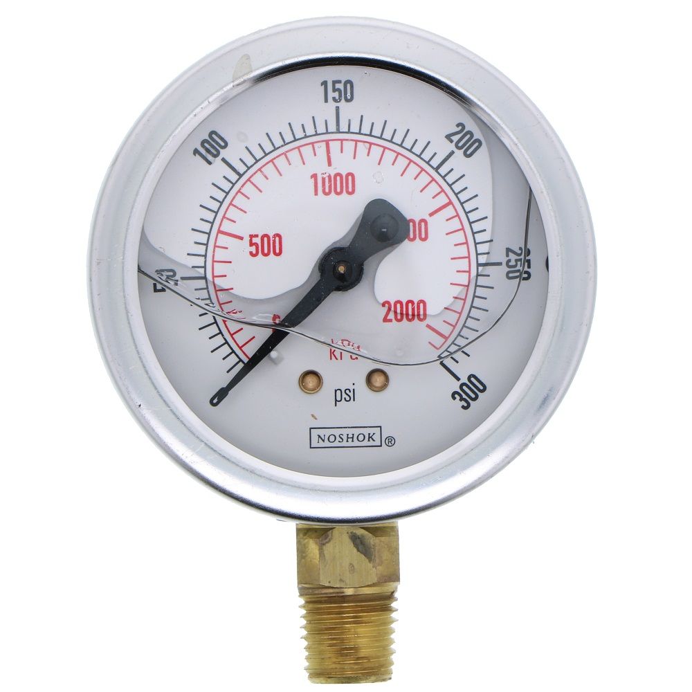 NOSHOK Bottom Mount 2.5" Water Pressure Gauge 0-300 PSI, SS, 1/4" NPT
