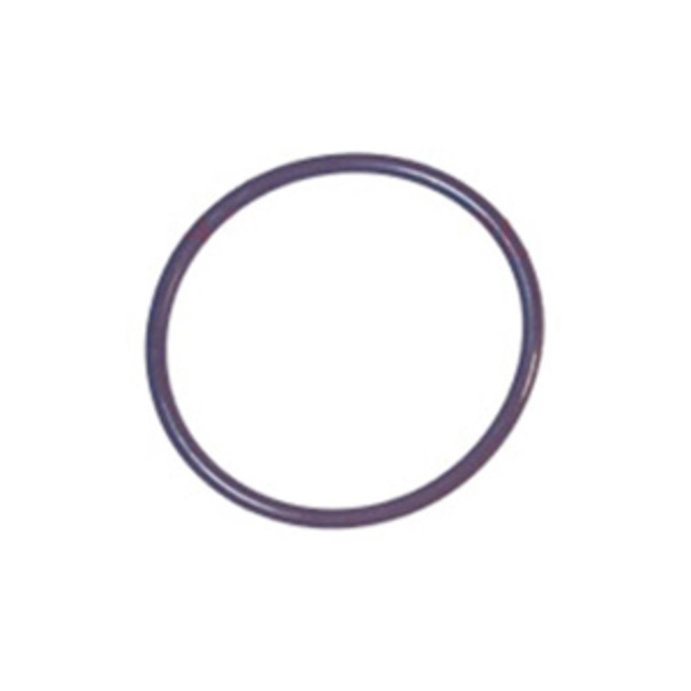 Hydrotech 34201026 O-Ring for Filter Housing