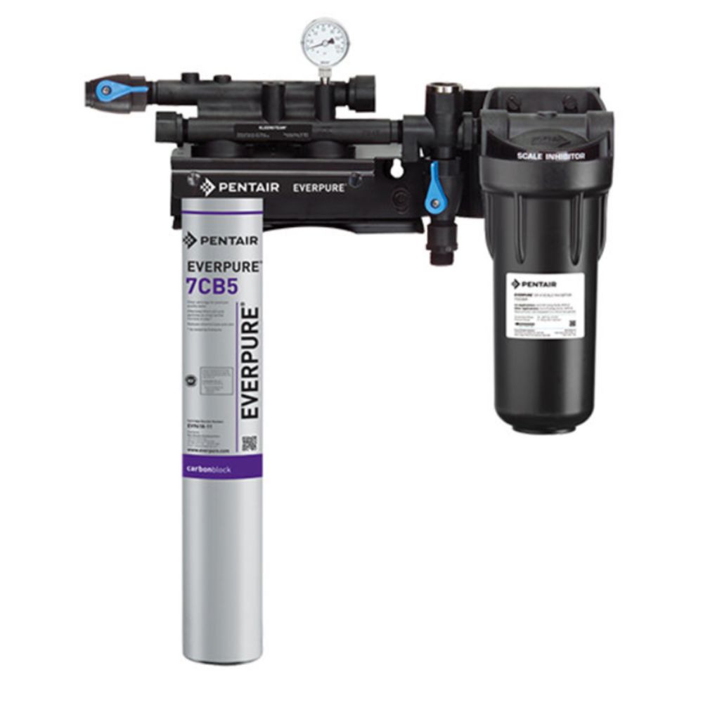 Everpure EV9797-21 Kleensteam II Single System for Steam Applications