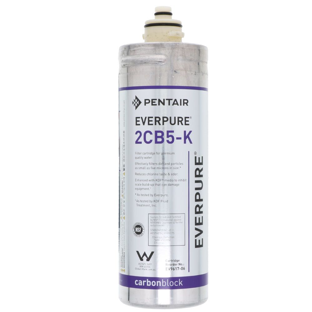 Everpure 2CB5-K EV9617-06 Filter Cartridge