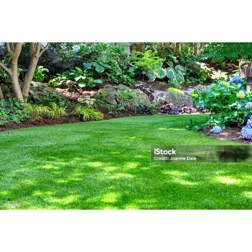 American Hydro Systems Spring Garden Care Starter Bundle, RR1 + NS2 + 2655