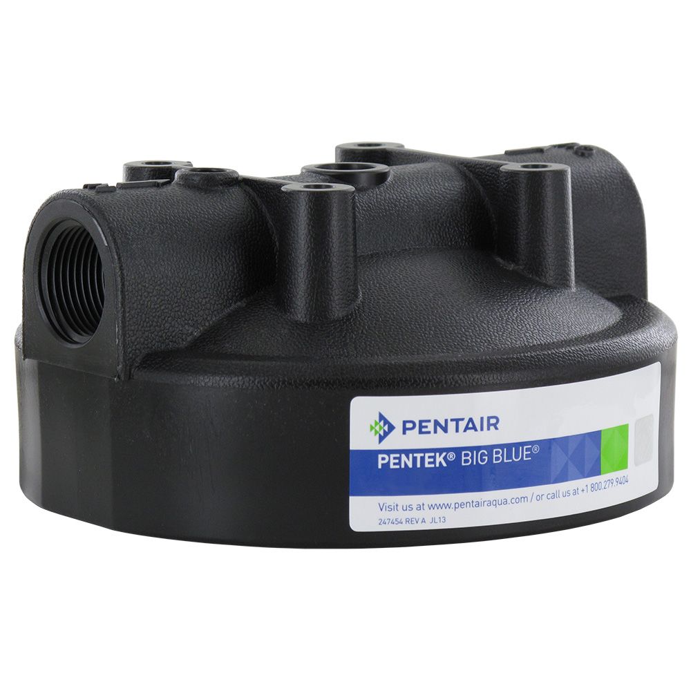 Pentek Black HFPP Cap w/o PR for Big Blue Housings