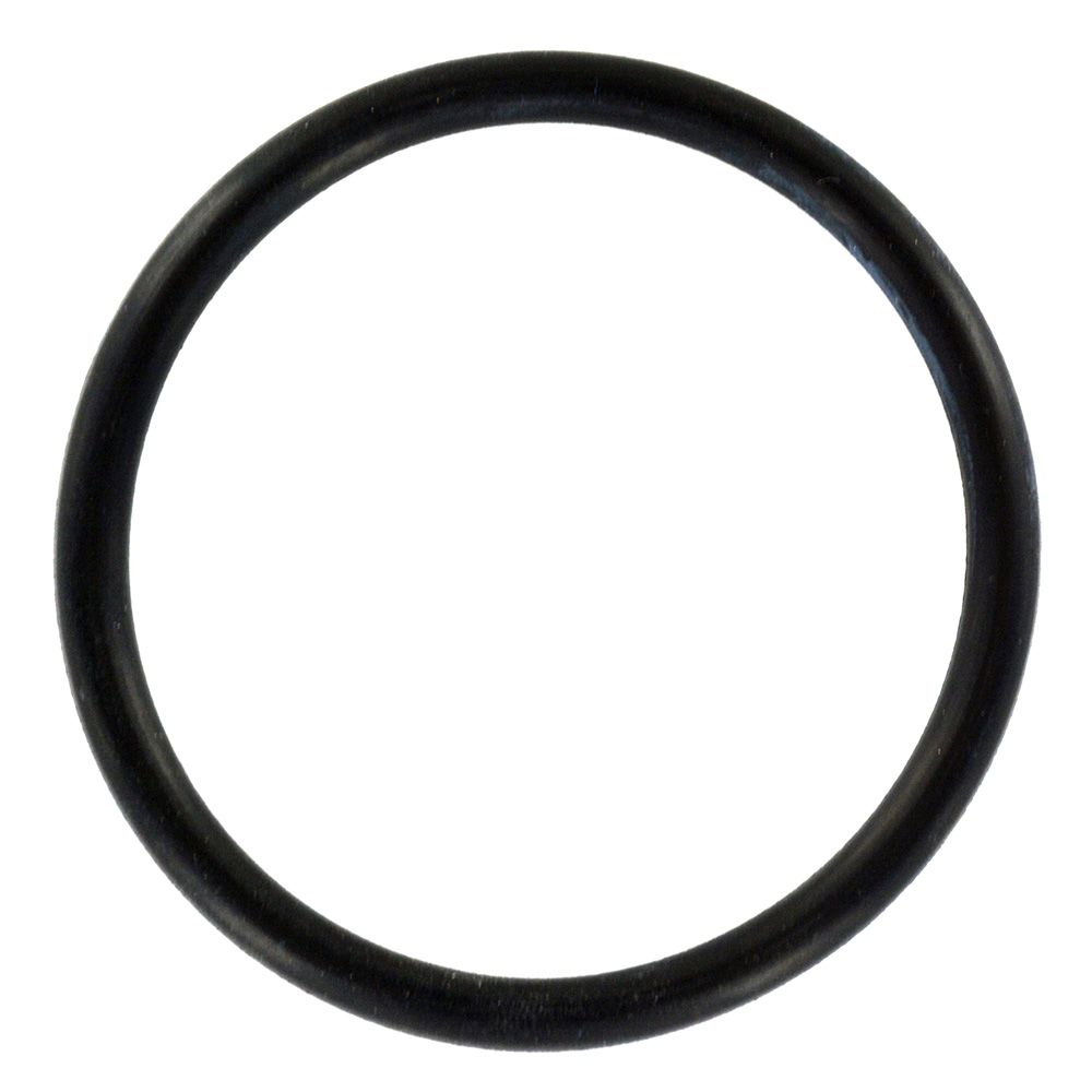 Coupler O-Ring for Watts® Big Bubba® Filter Housing BBH-150