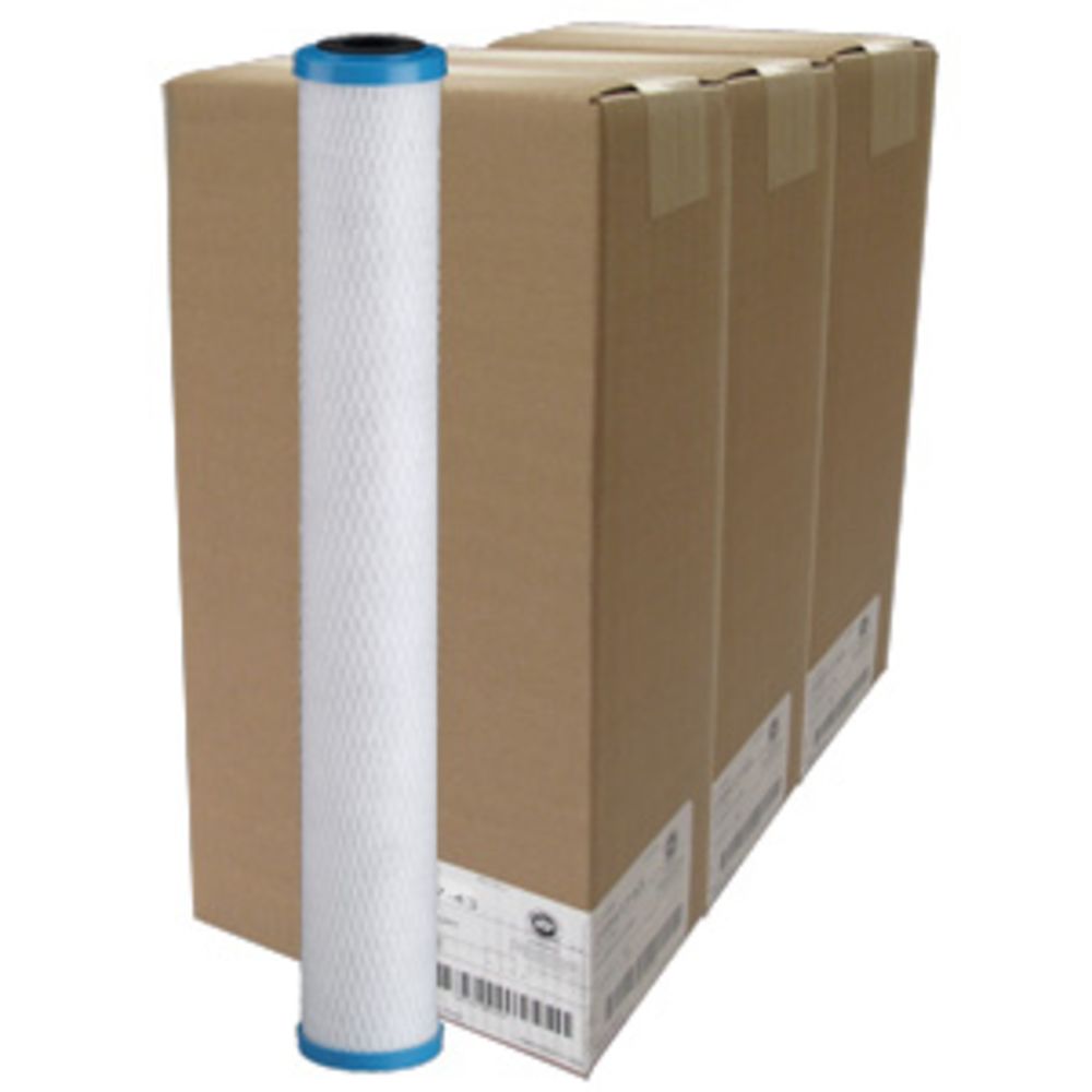 Pentek 255417-43 ChlorPlus 20 Chloramine Reduction 1 mic Filter