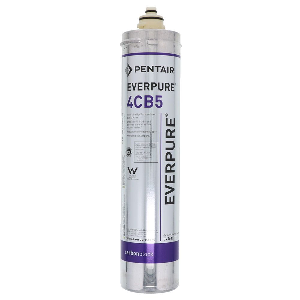 Everpure 4CB5 EV9617-11 Filter Cartridge