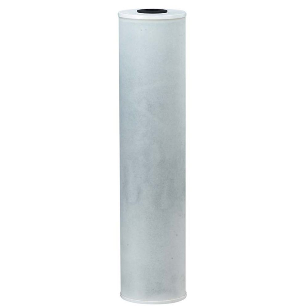 20" BB Watts MAXRFL-FF20 C-Max Radial Flow GAC Filter 20 mic