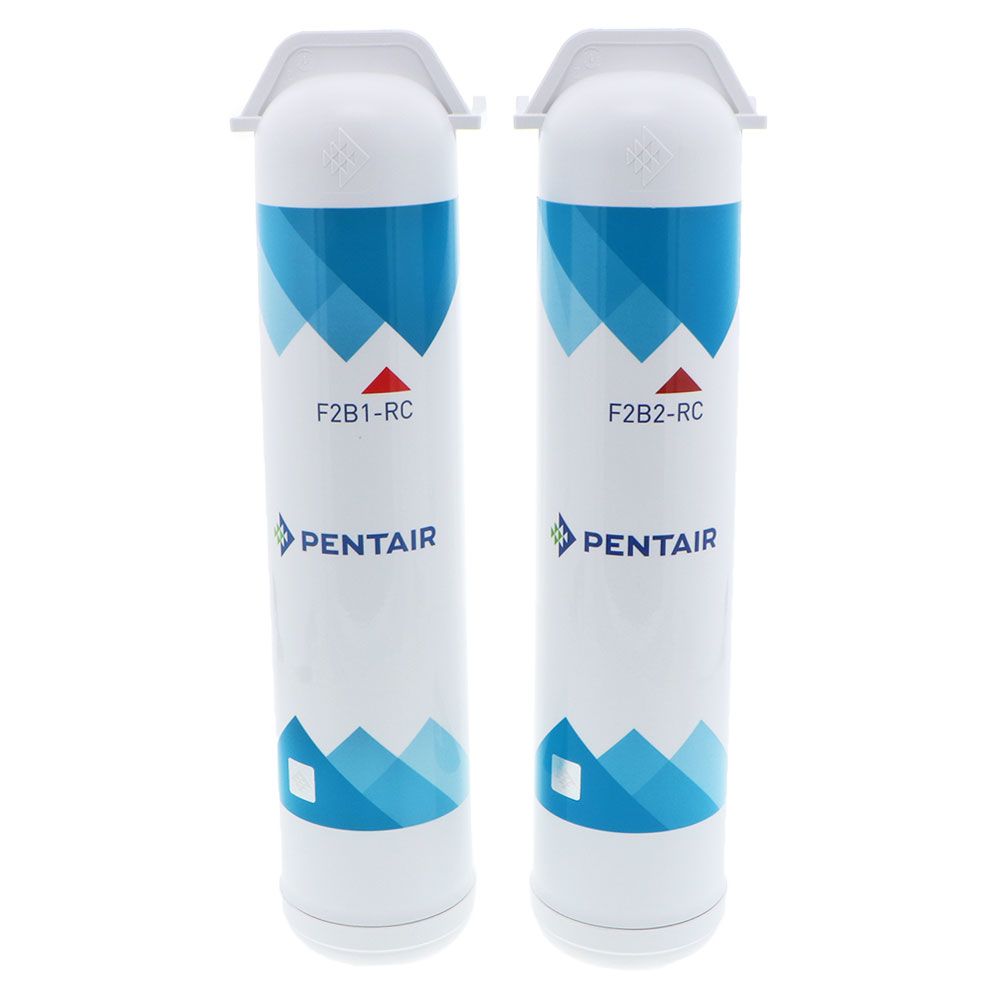 Pentair Freshpoint F2B2-RC2 Replacement VOC Cartridge Filter Twin-Pack