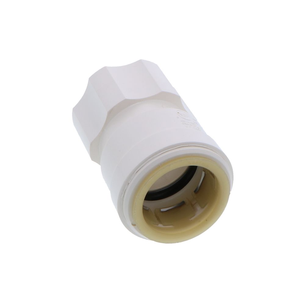 Watts AquaLock/SeaTech - Female Connector - 1 CTS x 1 NPS