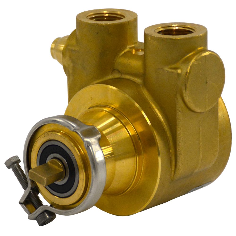 Fluid-o-Tech Lead Free Brass Rotary Vane Pump with Brass Key 250 gph 1/2" NPT