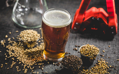 Why Water Filtration Matters for Beer Brewing Water