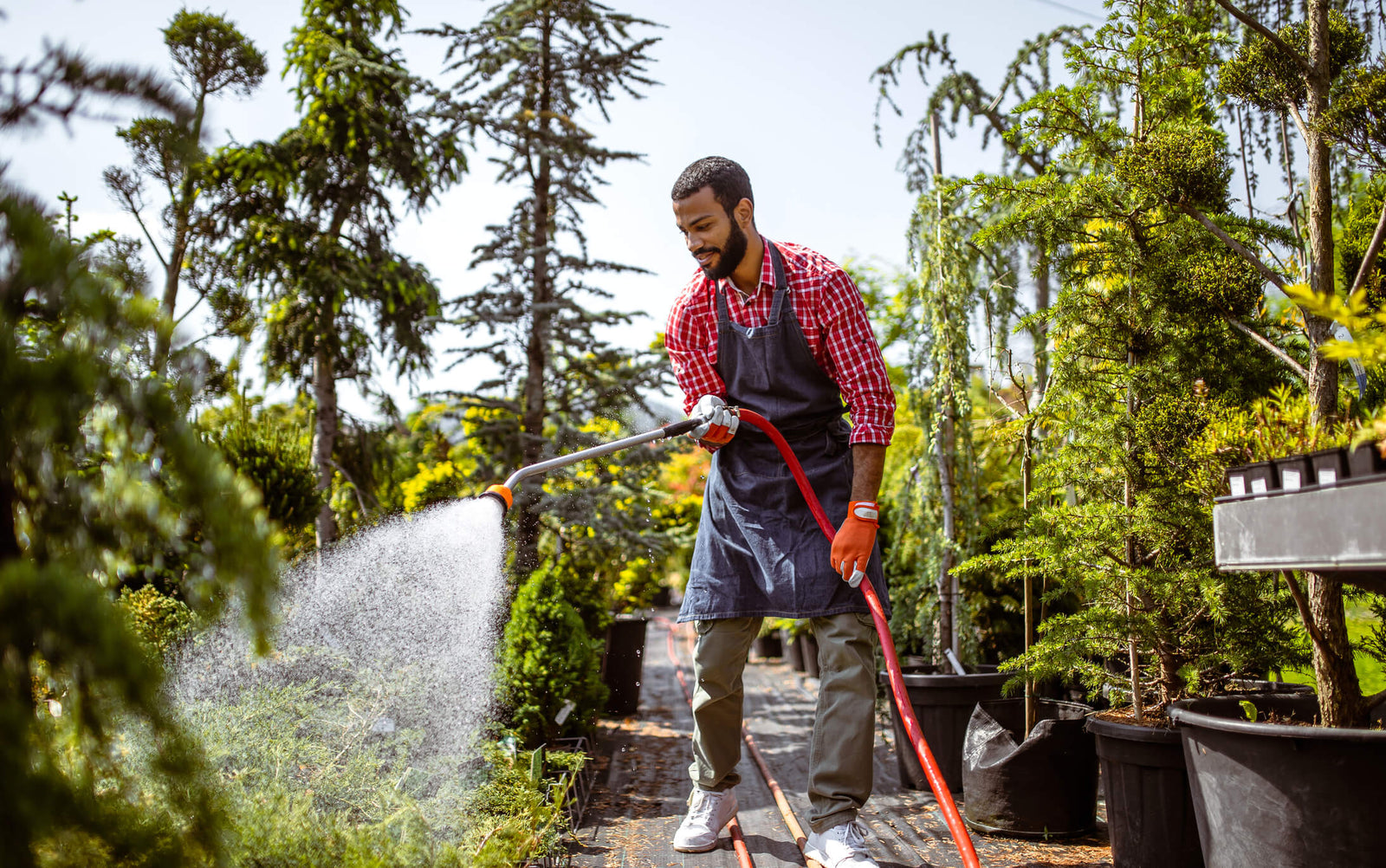 The 8 Best Uses for Harvested Rainwater