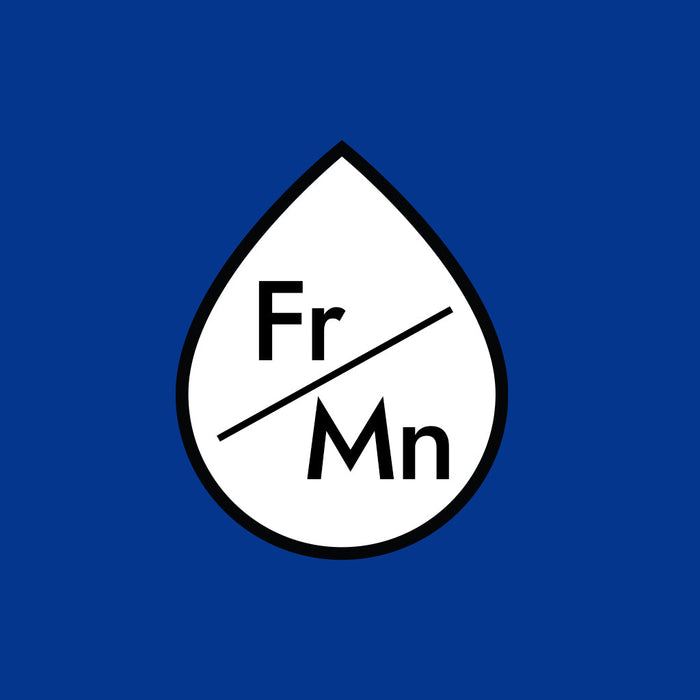 Water Problems - Iron / Manganese