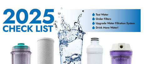 2025 New Year Checklist