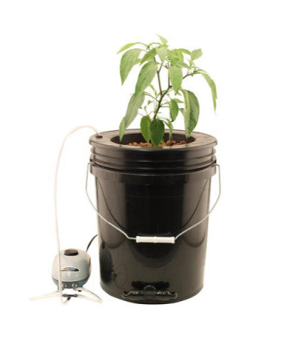 Hydroponic Systems