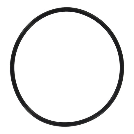 Everpure EV3092-56 O-ring for Costguard Systems