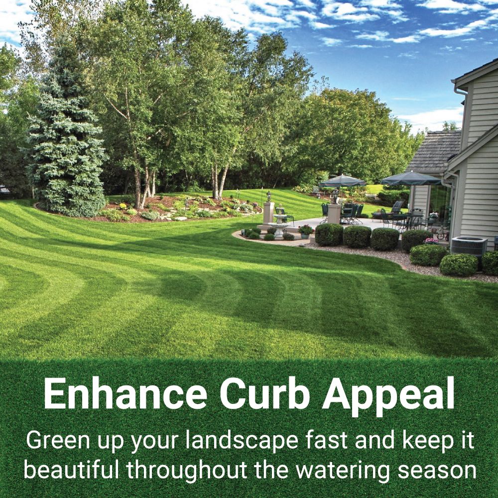 GrassSoGreen 19-0-0 Maintenance Formula Fertilizer 1 Gallon