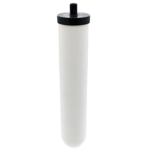 Doulton W9120562 Sterasyl Ceramic Filter Candle