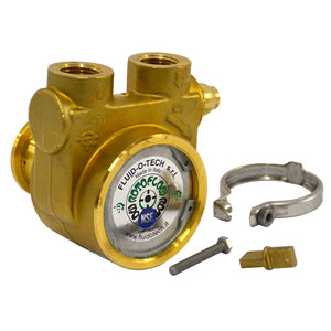 Fluid-o-Tech Lead Free Brass Rotary Vane Pump with Brass Key 250 gph 1/2" NPT
