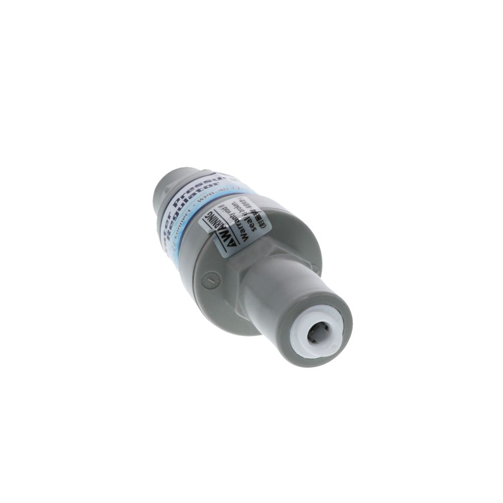 Pressure Regulator Filter Protection Valve