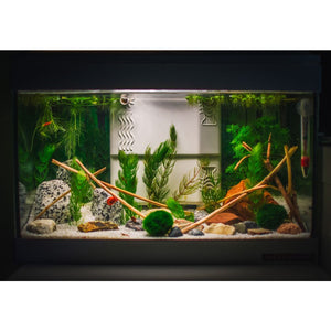 Acetal Leak Detector - 3/8" OD Connection